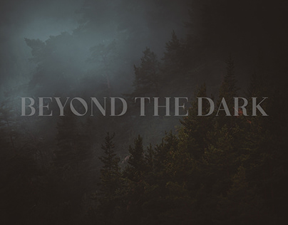 Beyond the dark