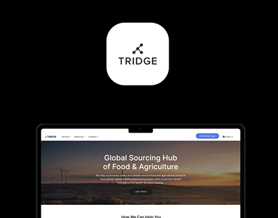 Tridge Design Task - Improving the homepage