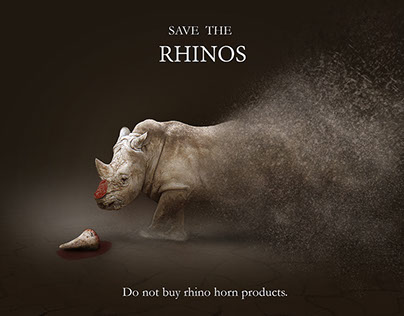 Save The Rhinos