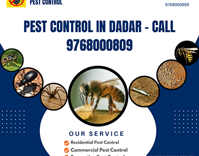 Pest Control in Dadar — Call 9768000809