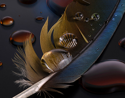 Feather - Focus Stacking