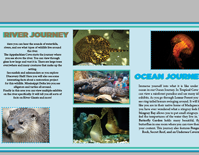 Aquarium Brochure