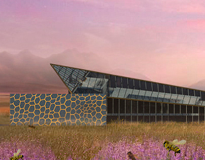 Дизайн проект здания центра "Дом мёда"