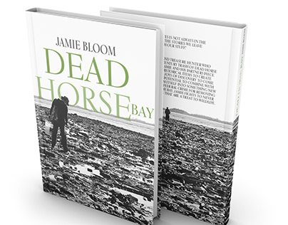 DEAD HORSE BAY BOOK COVER