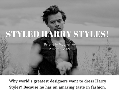 Styled Harry Styles