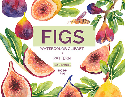 Watercolor figs clipart