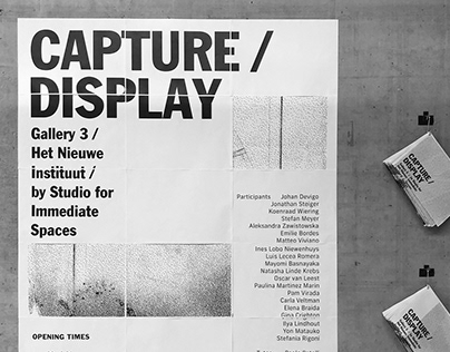 Capture/ Display | Critical project