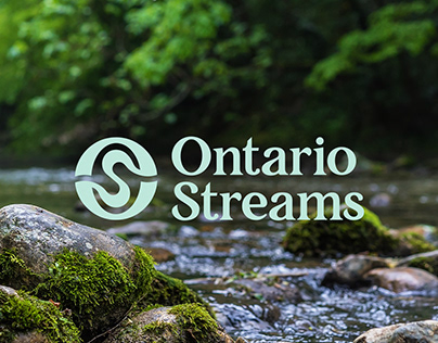 Project thumbnail - Ontario Streams