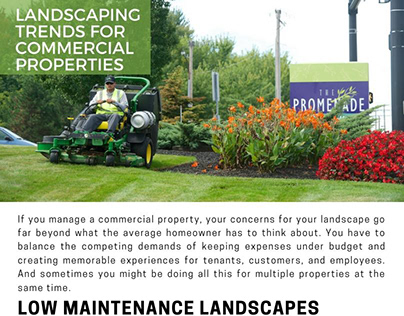 The Hottest Landscaping Trends For Commercial Propertie