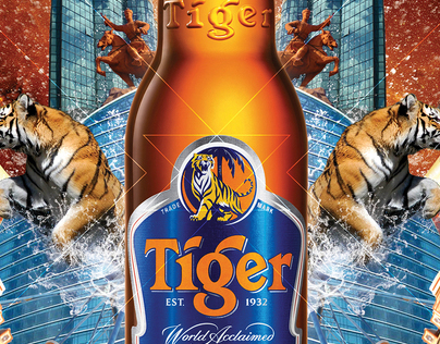 Tiger Translate Mongolia 2012