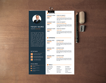 Professional resume or cv design