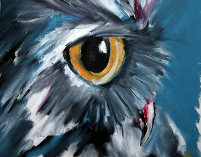 An Owl Study