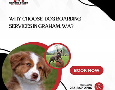 Why Choose Dog Boarding Services in Graham, WA?