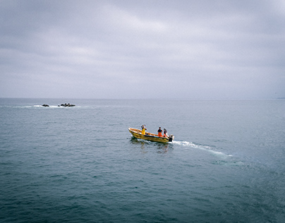 Del mar a la caleta: la pesca artesanal en Valparaíso
