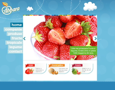 Homepage - Fruit importing company