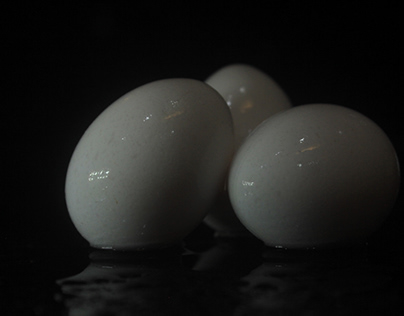 Egg Photography (Project for Photography Class)