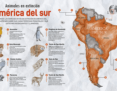 Infografía "Animales en extinción de América del sur"