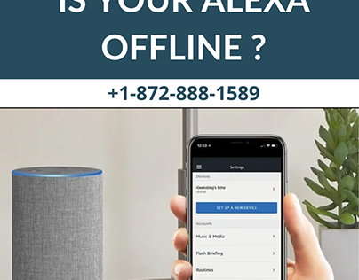 Alexa Offline Issue