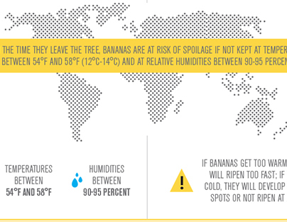 UTC Banana Infographic