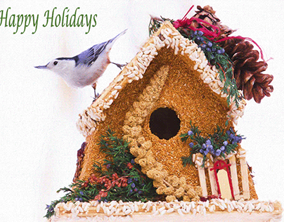 Happy Holidays Song Bird With Holiday Bird Feeder