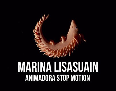Reel animadora stop motion 2020 - Marina Lisasuain