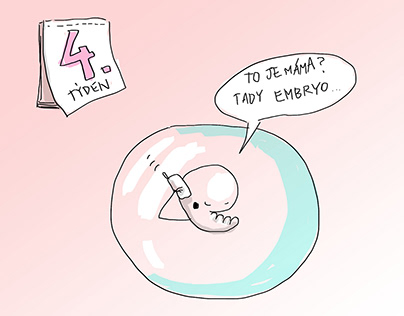 Embryo Illustration for Predictor