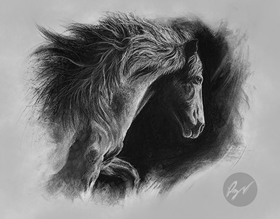 Charcoal drawing of a Peruvian Paso Horse