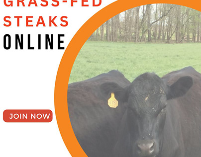 Top-quality Grass-Fed Steaks Online.