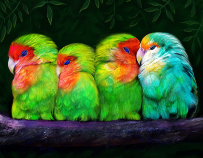 Sleeping Parrots - Digital Painting