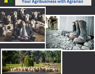 Expert Rural Sales Training Services for Agribusiness