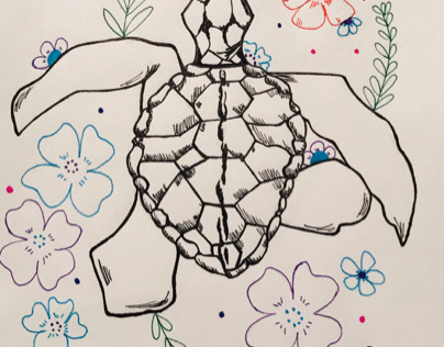 sea turtle doodle