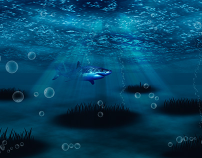 underwater sealife
