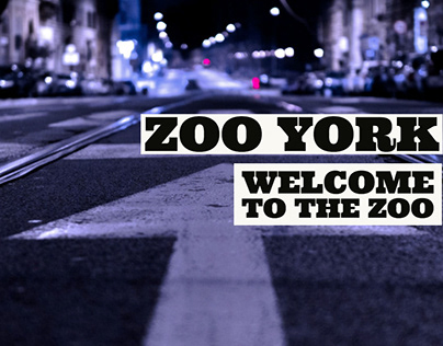 ► ZOO YORK ◄ WELCOME TO THE ZOO