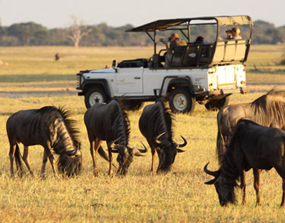 Discover The Best Time To Visit Tanzania For Safari