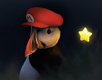 Montage pingouin + Mario