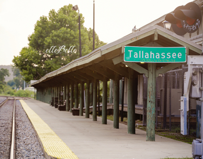 Tallahassee in photos