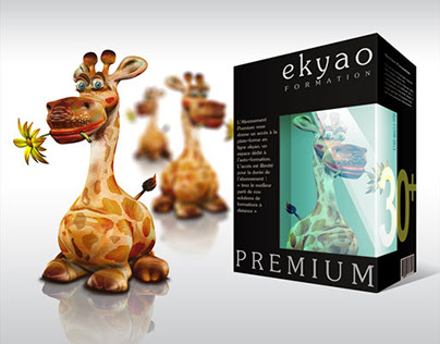 Ekyao Design Packaging