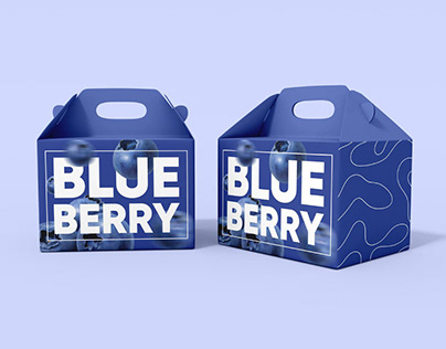 Blue Berry Packaging