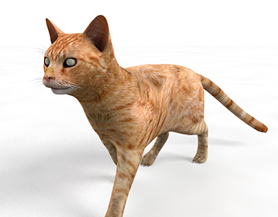 Ginger cat 3d model