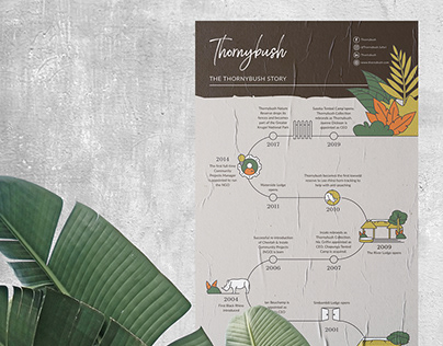 Thornybush Infographic Story Timeline