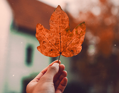 Fall - Autumn Photoshop Actoions