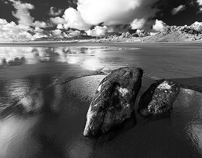 Black and white Landscapes