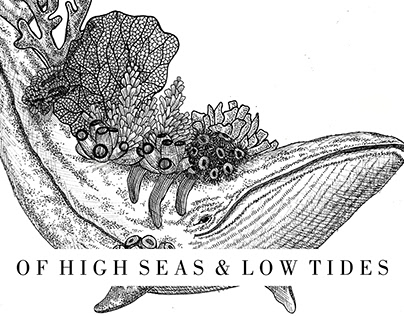 Of High Seas & Low Tides