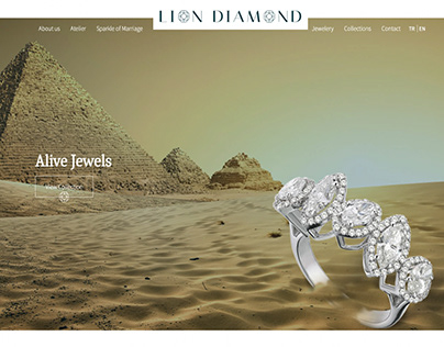 Lion Diamond Web Design