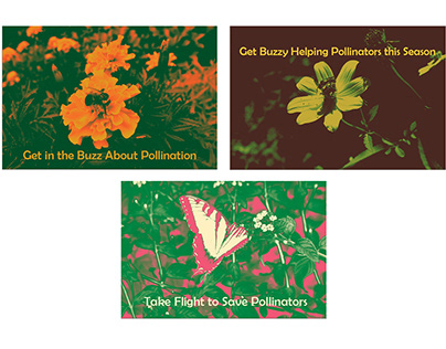 Save the Pollinators Postcard Series