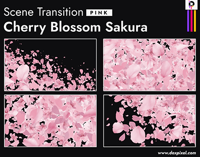 Pink Sakura Cherry Blossom Transition Stinger (COPY)