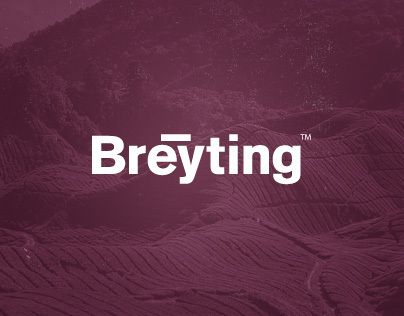 Breyting Website Concept