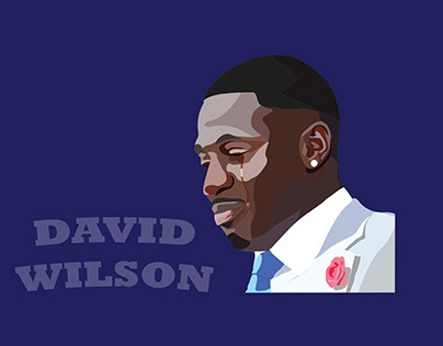 David Wilson Project || 2014