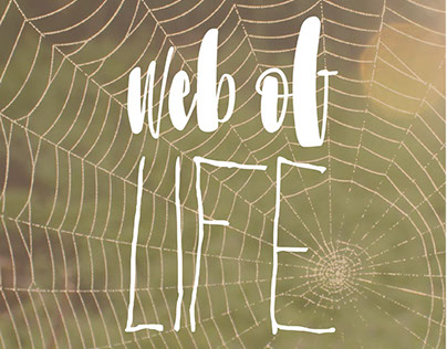 Web of Life