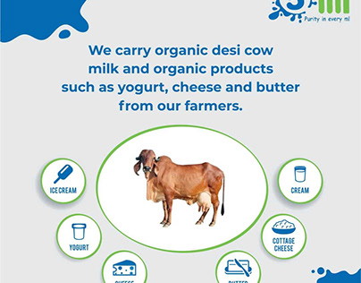 Organic Desi Cow Milk